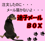 �»ҥ᡼�롡�᡼�뤬�Ϥ��ʤ�