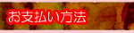 ����ʧ����ˡ
