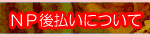 NP��ʧ���ˤĤ���